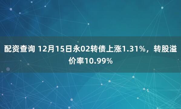配资查询 12月15日永02转债上涨1.31%，转股溢价率10.99%