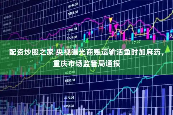 配资炒股之家 央视曝光商贩运输活鱼时加麻药，重庆市场监管局通报